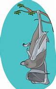 Image result for Bat Vector Art