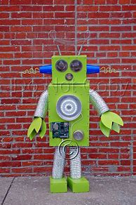 Image result for Wild Robot Costume