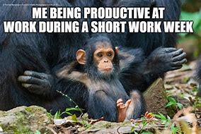 Image result for Monkey Work Meme