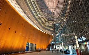 Image result for Tokyo International University