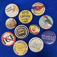 Image result for Oval Button Pin