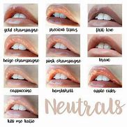 Image result for LipSense Neutral Colors
