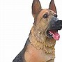 Image result for Trophy with RCA Dog