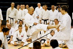 Image result for JKA Shotokan Karate
