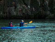 Image result for Kayaking in Comox