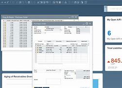 Image result for SAP Interface