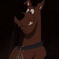 Image result for Cool Scooby Doo Pfps