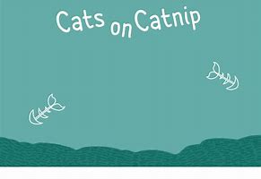 Image result for Catnip Crazy Cat