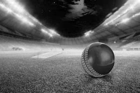 Image result for cricket ball brands
