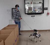 Image result for Robotic Guide Dogs