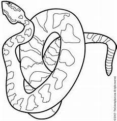 ausmalbilder reptilien malvorlagen malvorlagen schlange kostenlos 2 coloring 6 ausmalen ausmalbilder reptilien malvorlagen malvorlagen schlange kostenlos 2 coloring 6 ausmalen
