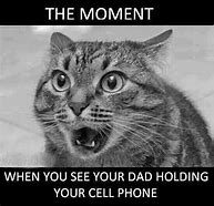 Image result for Very Funny Animals Sarcastic Memes