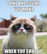 Image result for Grumpy Cat Meme Angry