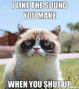Image result for Grumpy Cat Memes Clean Talking