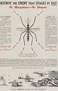 Image result for 20th Century Dengue