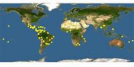 Image result for Cedrela Odorata Map