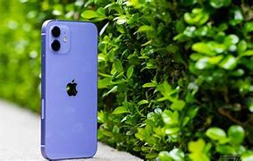 Image result for iPhone 12 Colors