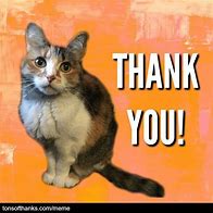 Image result for Thank You Meme Baby