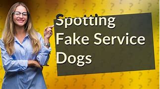 Image result for Fake Service Dog Meme