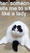 Image result for Funny Bad Cat