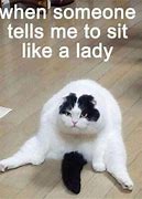 Image result for Funny Friend Cat Memes