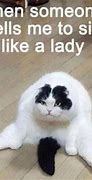 Image result for Adult Funny Cat Memes