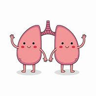 Image result for Cute Lungs Cartoon