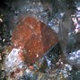 Image result for danalite.ru