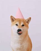 Image result for Birthday Doge Meme