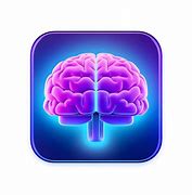 Image result for Purple and Blue Brain