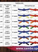 Image result for Belts in Sambo