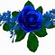 Image result for Turquoise Flowers PNG