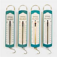 Image result for Spring Scale Science