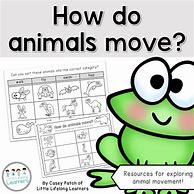Image result for Animal Movement Activity