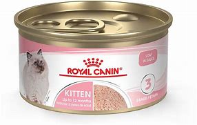 Image result for Royal Canin Canned Cat Food