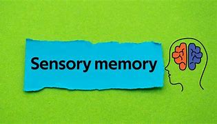 Image result for Sensory Memory