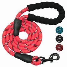 Image result for Dog Leashes for Large Dogs