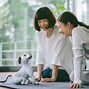 Image result for Artificial Intelligence Robotic Pets
