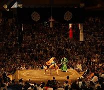 Image result for Japanese Sports