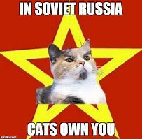 Image result for Lenin Cat Meme