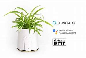 Image result for Moss Air Purifier