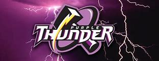 Image result for Purple Thunder Logo