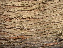 Image result for Rough Wood Plank Texture