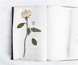 Image result for Rose Gardens Book