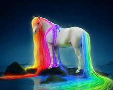 Image result for Real Unicorn Horse Rainbow