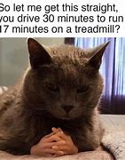 Image result for Why Is It Always Thinking Cat Meme