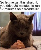 Image result for Thinking Cat Meme