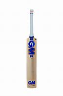 Image result for Cricket Bat for Kids