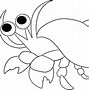 Image result for Hermit Crab Drawing