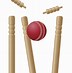 Image result for Cricket Stumps SVG